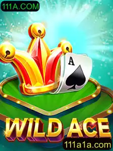 Decifrando o Mundo de WildAce: Uma Nova Experiência de Jogo